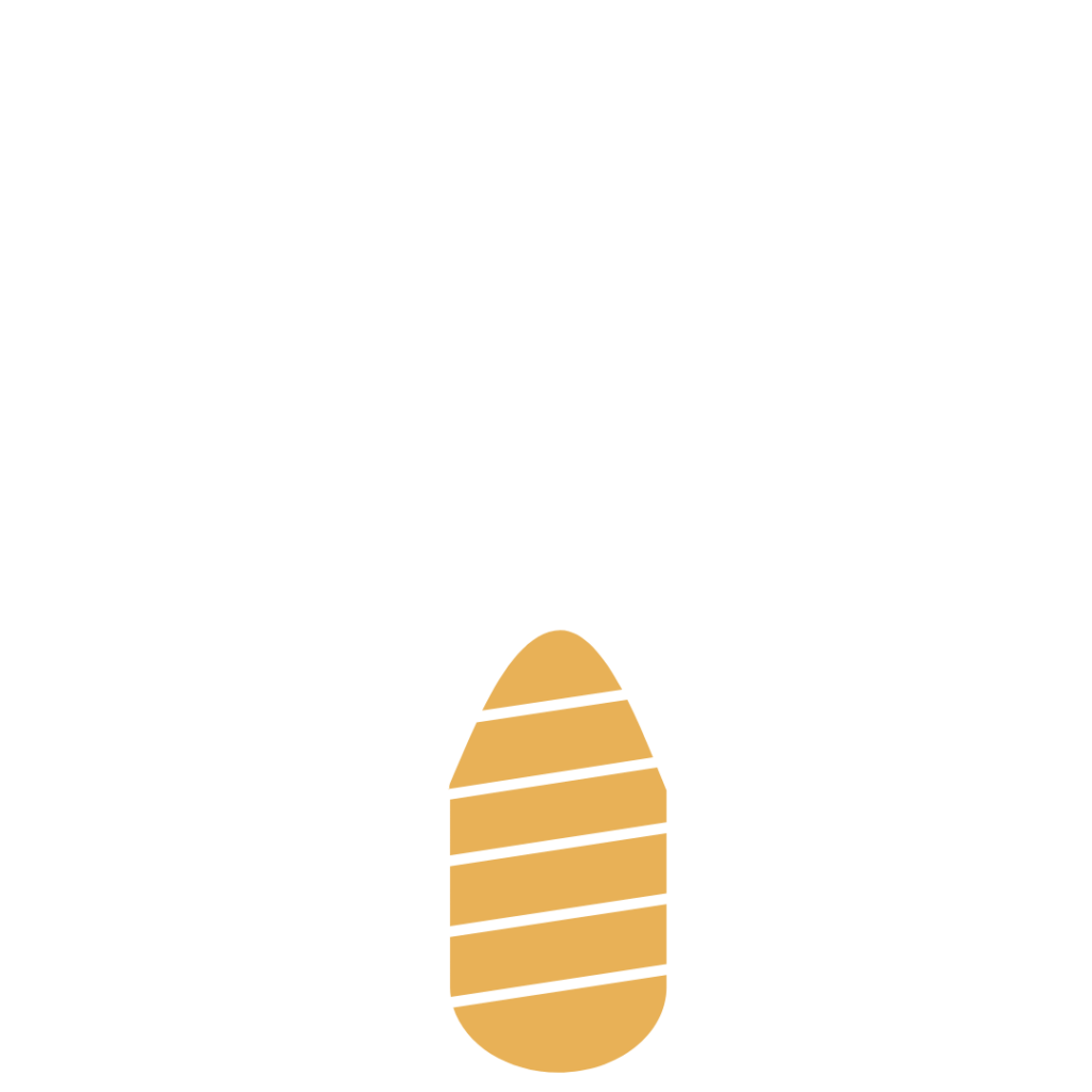 Home 13 Implantologia