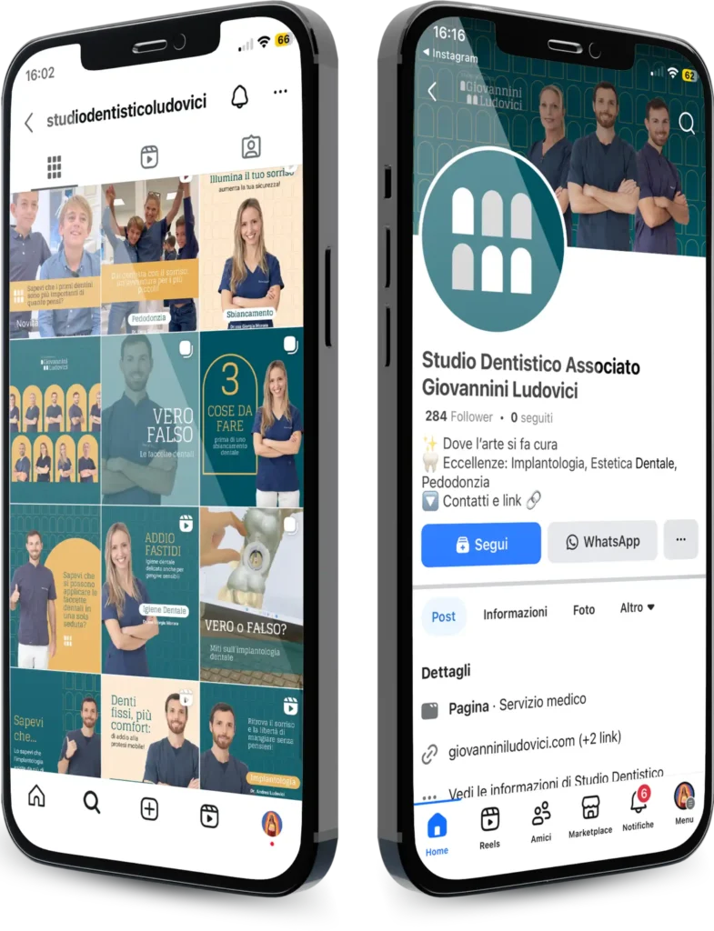Website 2.0 Ludovici e1790784334896